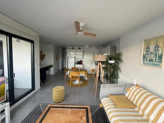 Appartamento Centre Avec Vue Sur L'adour